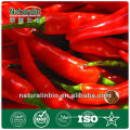 Capsicum Extract for Weight Loss